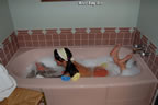 adult baby girls in diapers